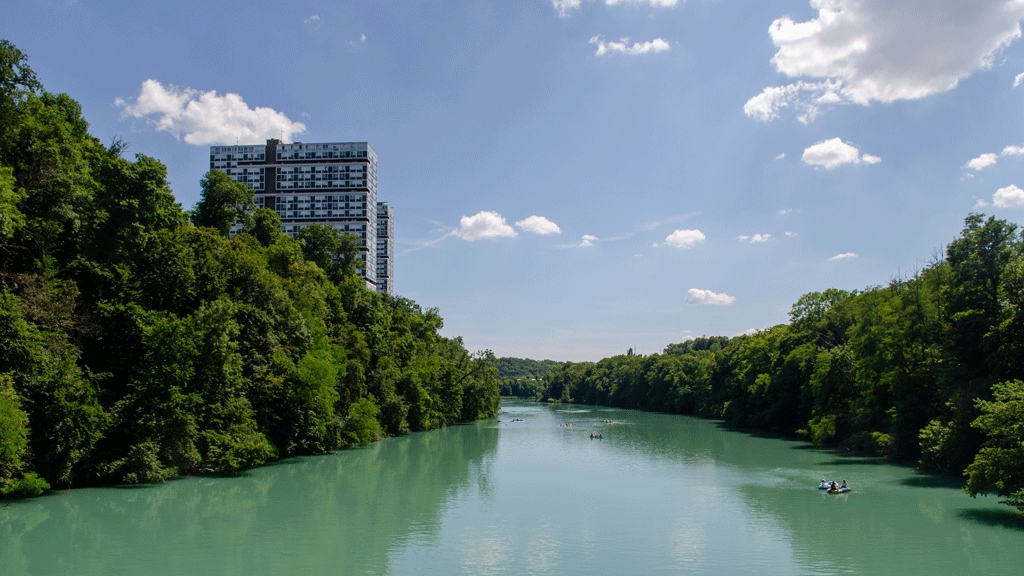 le lignon qui s'élève au dessus des berges boisées
