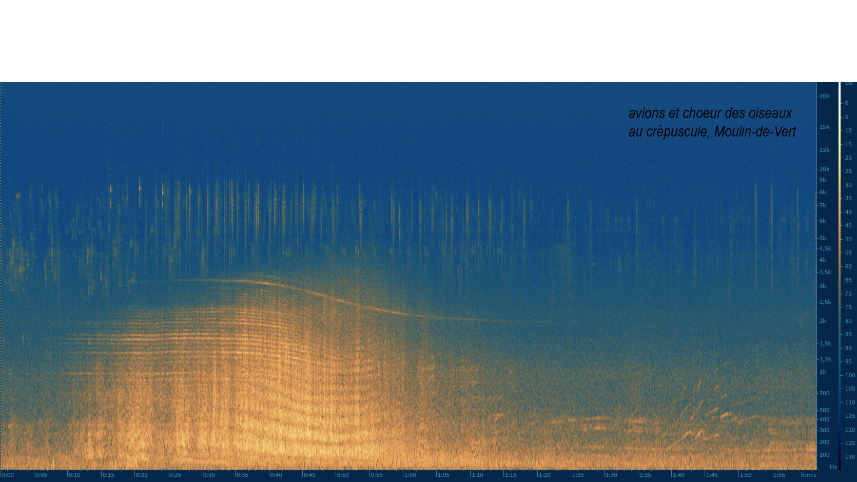 spectogramme avions et choeur des oiseaux